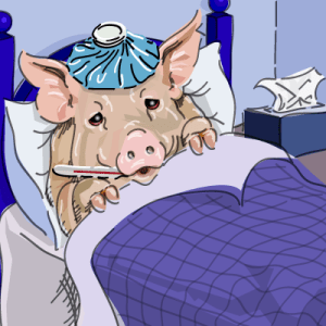 swine-flu